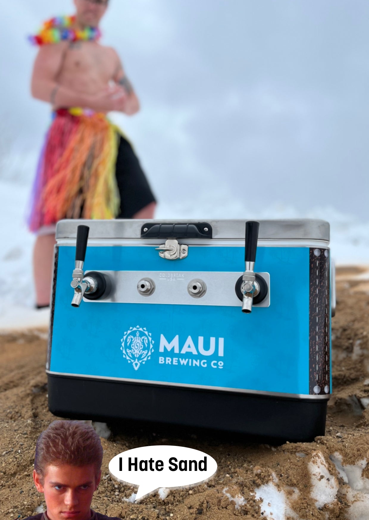 2-Tap Jockey Box, Vinyl Wrapped, Front Inputs