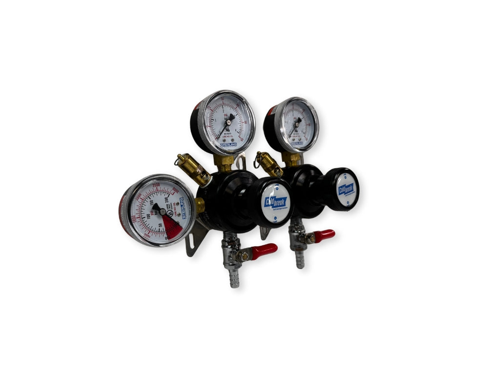 CO2 Dual Regulator, Dual Gauges